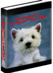 Handbook on Caring for Your Dog