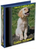 Golden Retriever - Tips on Training & Care