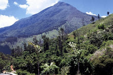 Cerro El Avila