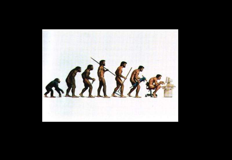 [Evolucion+del+Hombre.jpg]