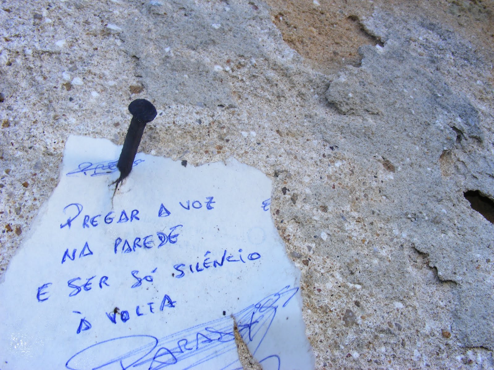 [DSCF4930.JPG]