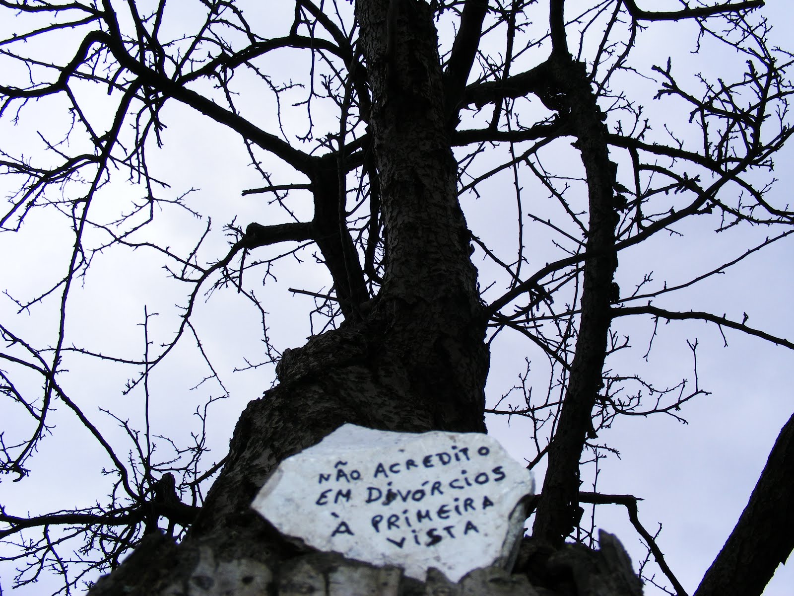 [DSCF0722.JPG]