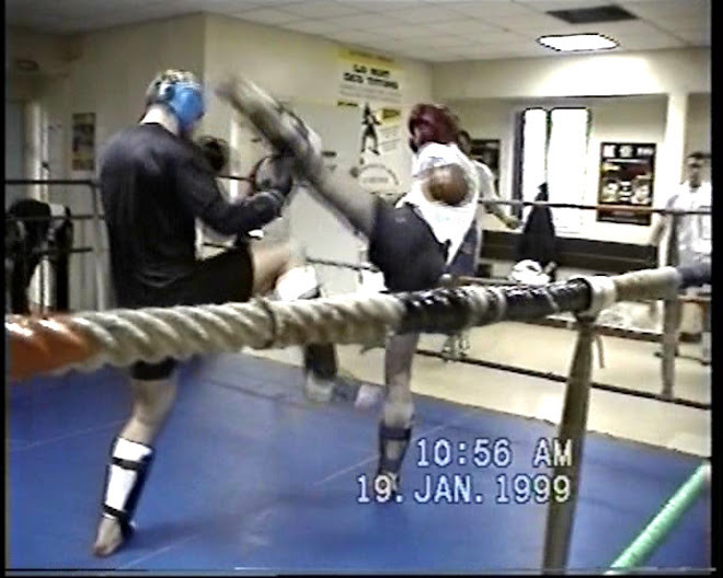 SPARRING 1999
