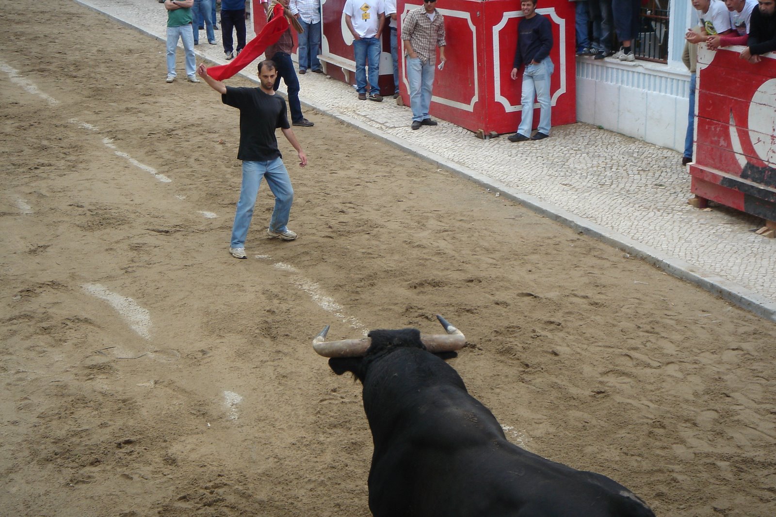 [DSC06137.JPG]