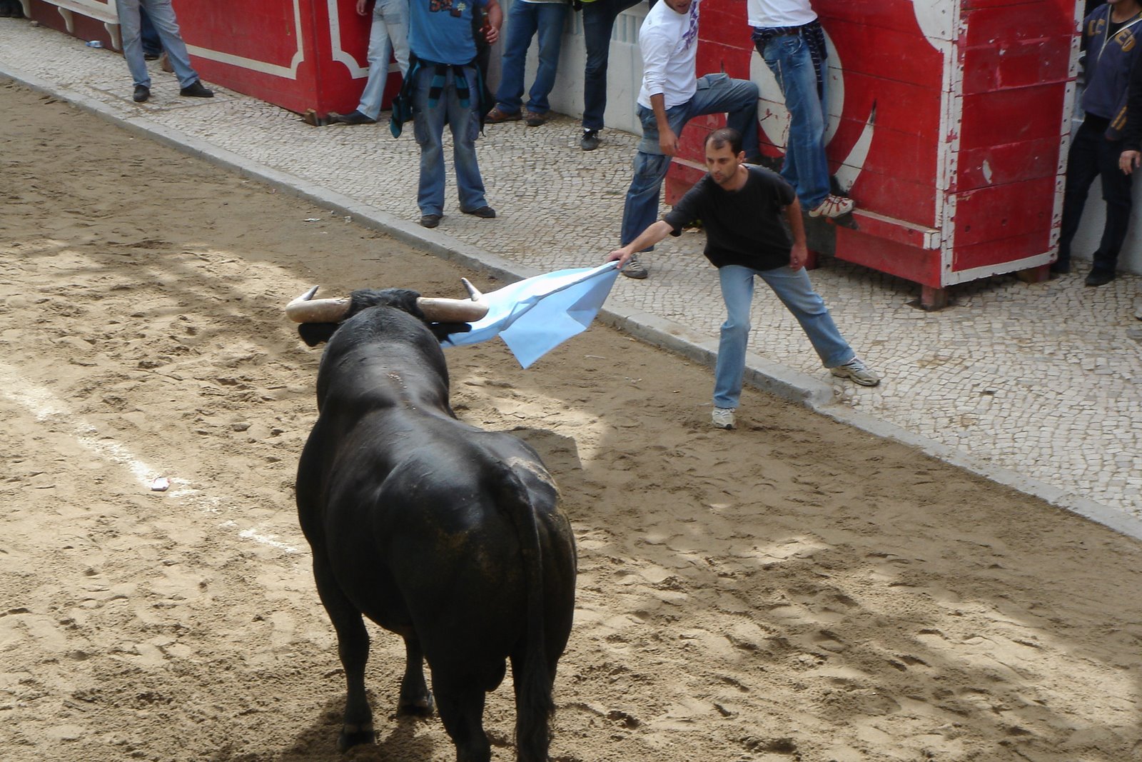 [DSC06155.JPG]