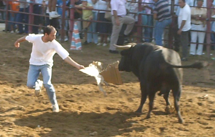 [palmela2007.JPG]