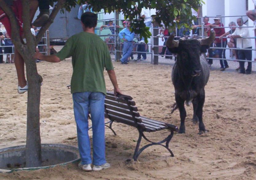 [Sem+títuloh790.JPG]