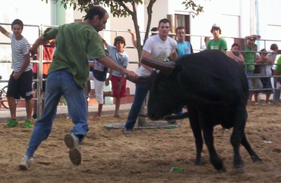 [Sem+títulogghy67.JPG]