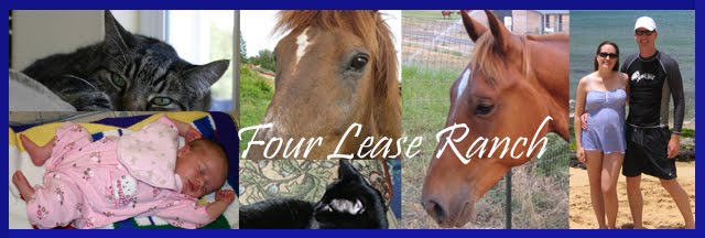 Four Lease Ranch