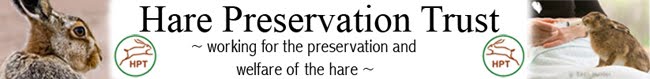 Hare Preservation Trust
