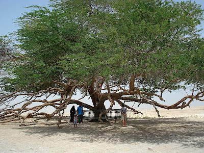 El rbol de la Vida The+Tree+of+Life+3