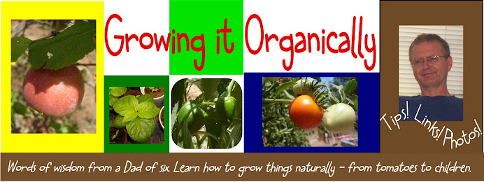 GrowingItOrganically