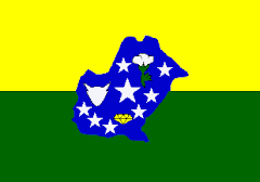 Bandeira do Municipio