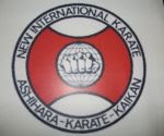 CEL MAI TARE STIL DE KARATE!