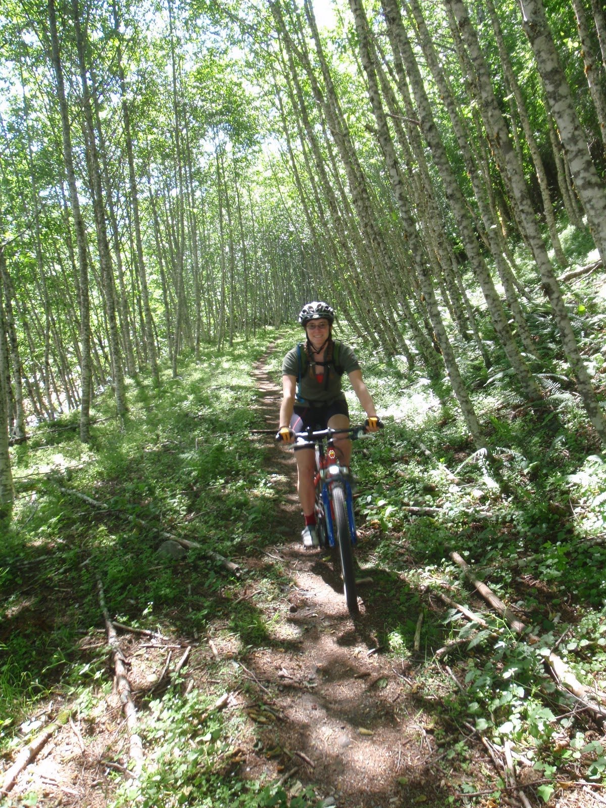 plains of abraham mtb