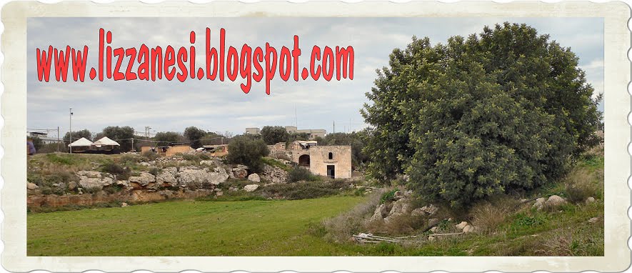 www.lizzanesi.blogspot.com