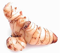 [lengkuas-merah.jpg]