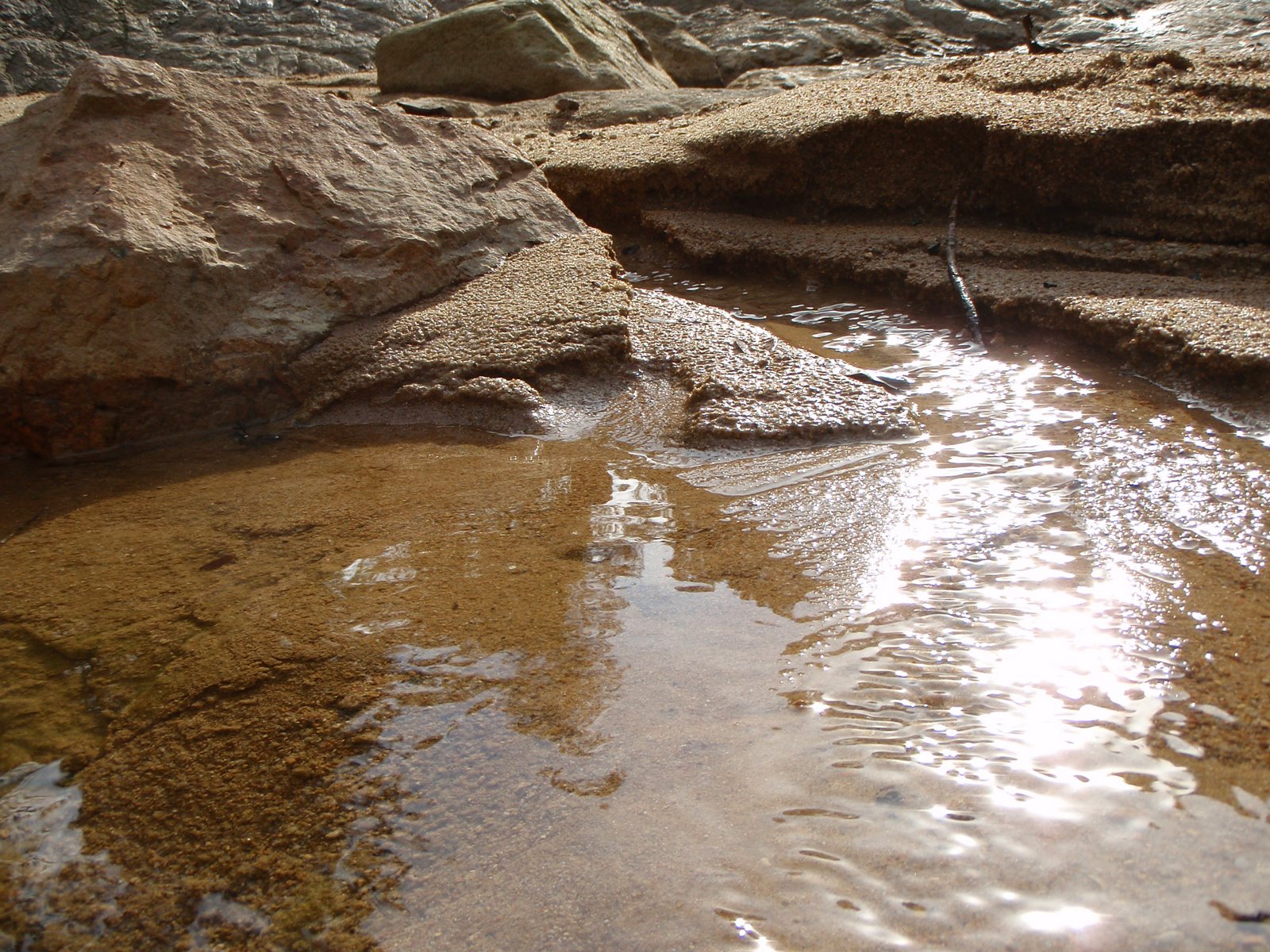 [PC222455.JPG]