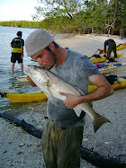 Hog Key, Everglades