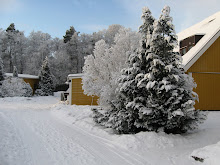 Vinter i skälby/ Invierno en skälby