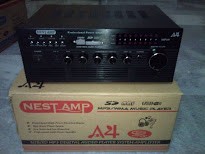 Nest AMP A4