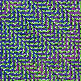 Animal Collective Merri