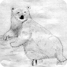 Polar Bears are often regarded as a marine mammal because it spends many months of the year at sea