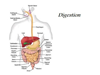Entry Posting: 03/09/08