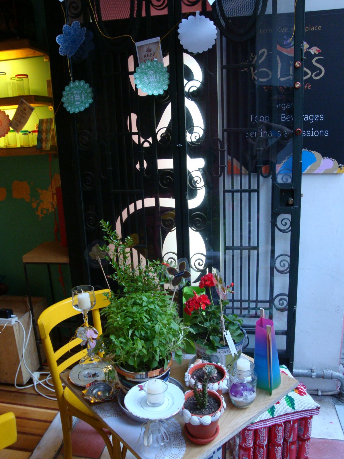 [DSC00683.JPG]