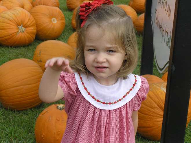 Pumpkin Patch 2009