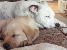 Chloe and Chance