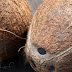 Homemade Coconut Milk