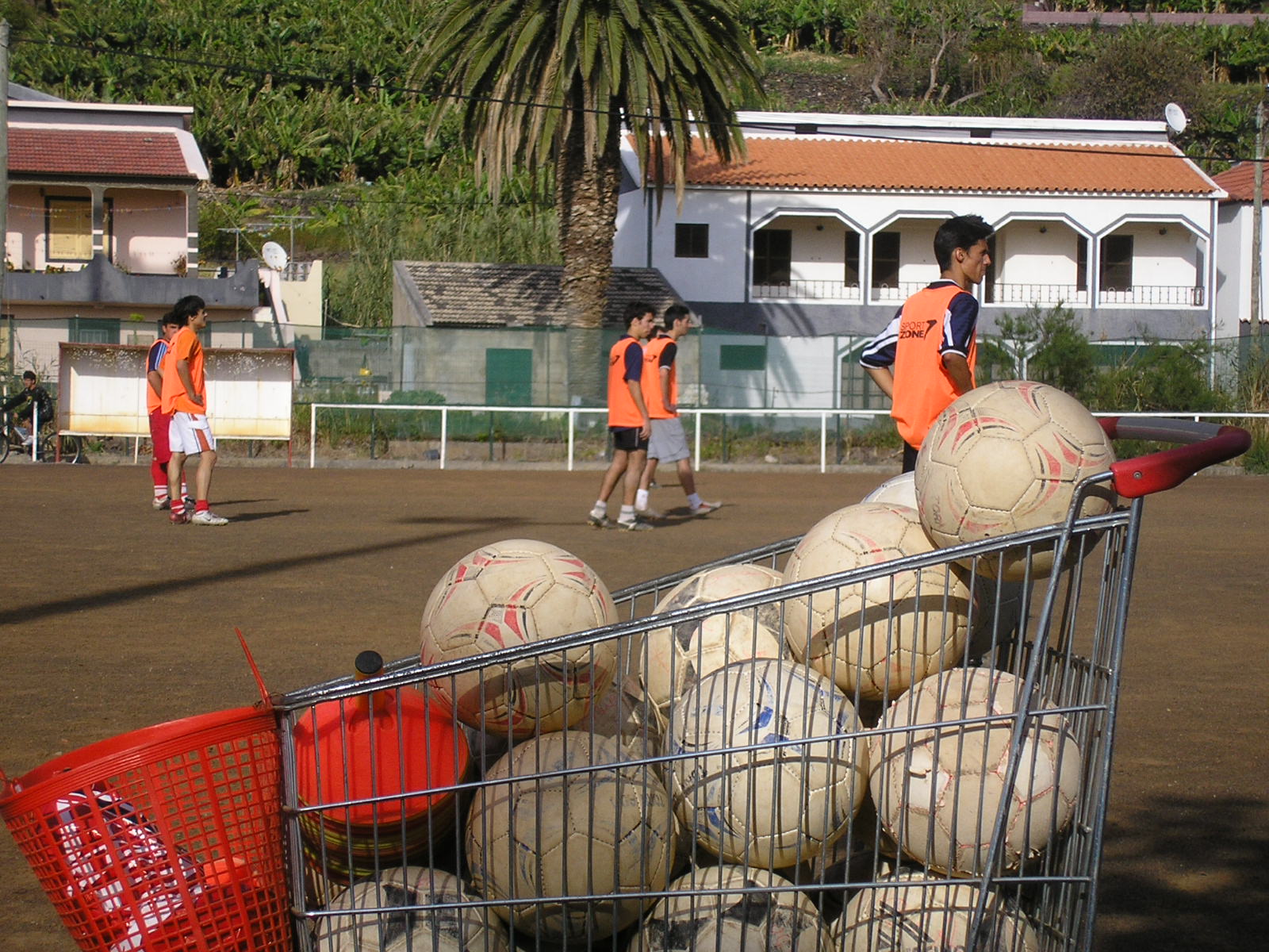 [P3220898.JPG]