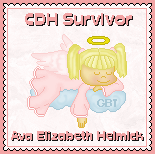 CDH Quilt by Denise at AngelRyanDesigns