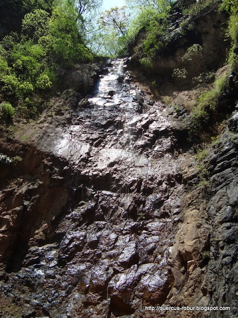Rapel de 50 metros en el cañón el Aguacate
