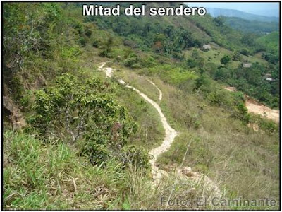 mitad del sendero a la carretera para llegar a chapawanki (lamas, peru) mitad del sendero a la carretera para llegar a chapawanki (lamas, peru)