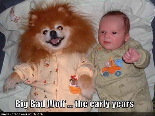 [funny-dog-pictures-big-bad-wolf-early-years.jpg]