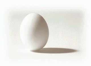 [egg.gif]