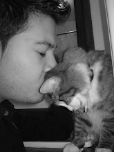My Photo