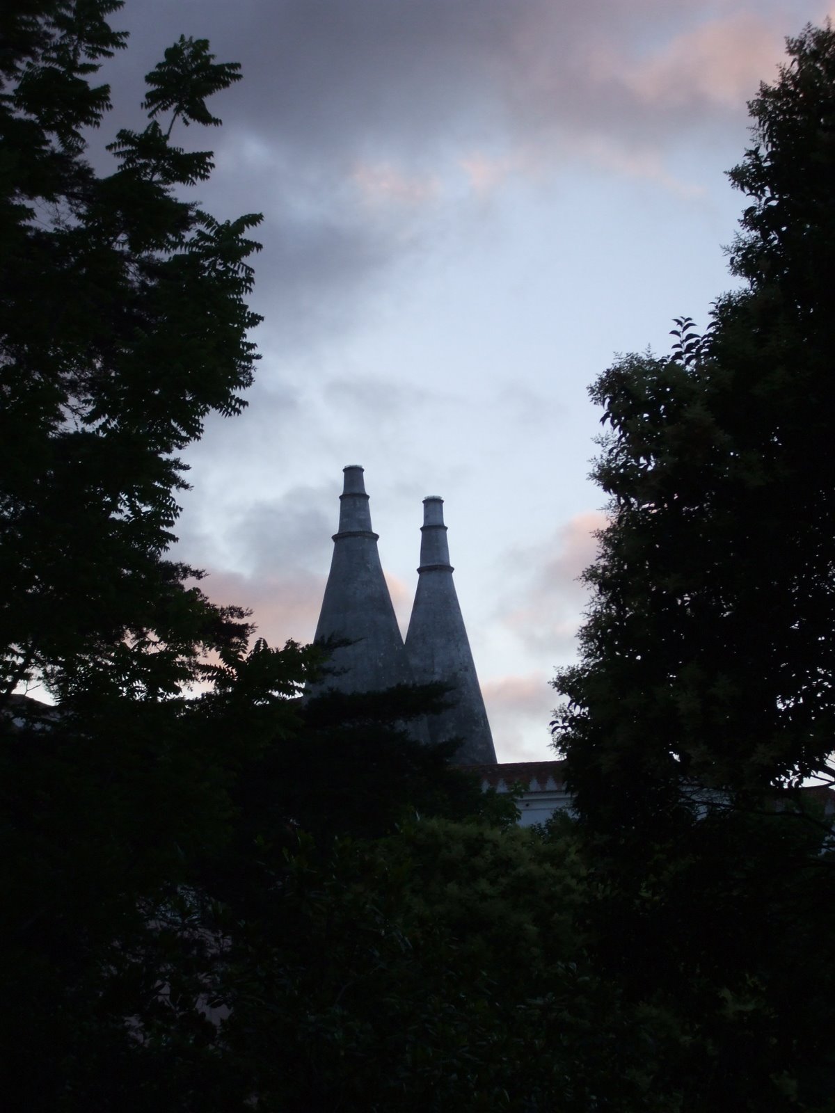 [DSCF4974.JPG]
