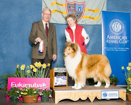 CH Kirkhaven Heart of Gold