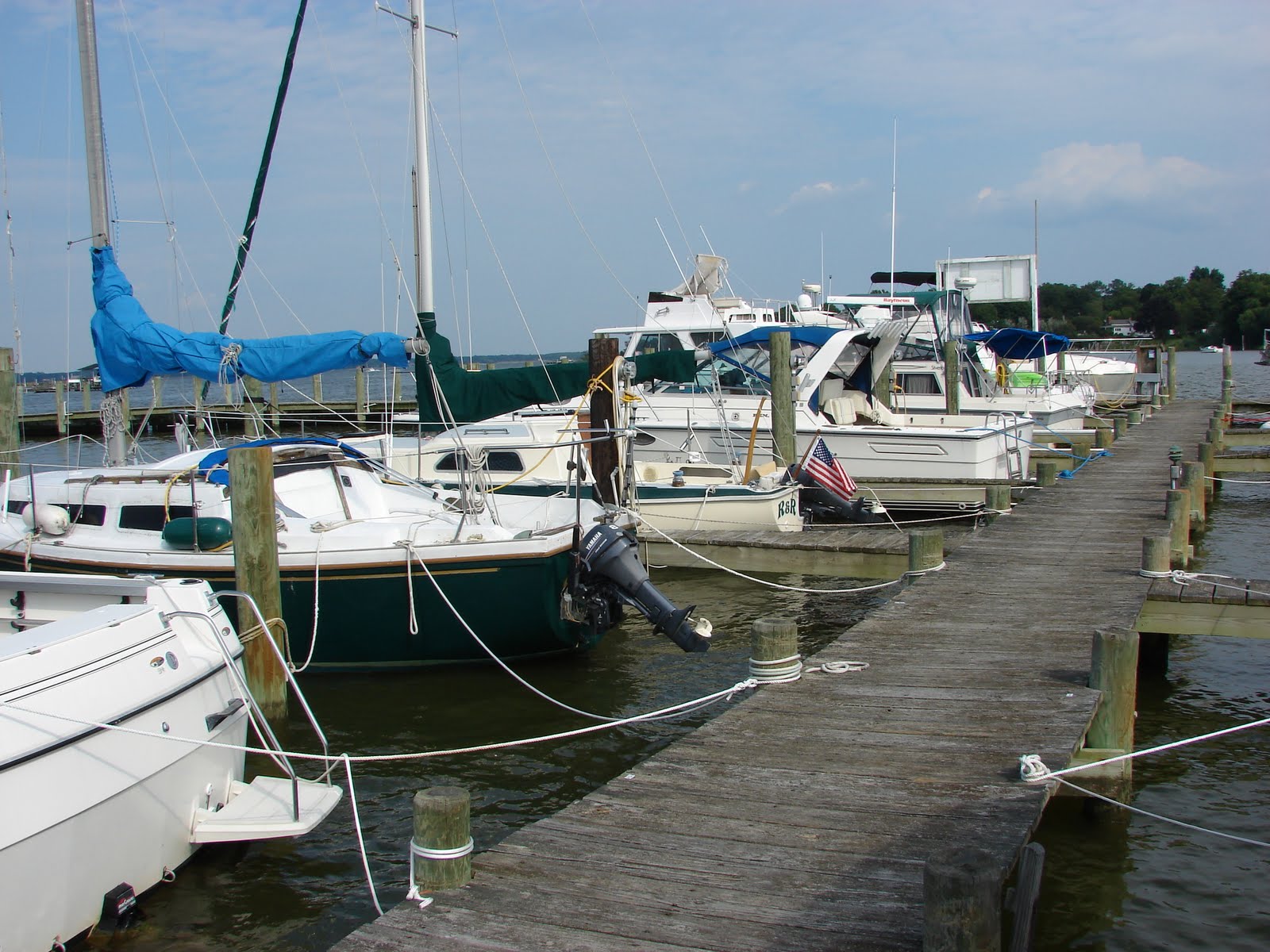 33 44 66 NPS Trip Day 43 Cobb Island, MD