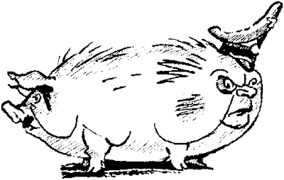 Apparently, this pig has two asses.