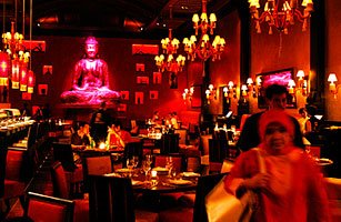 [buddhabar_0311.jpg]