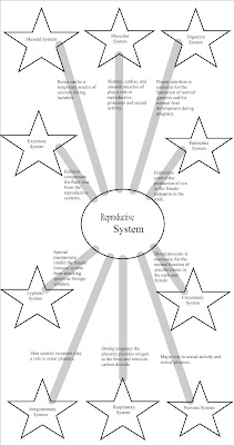 mY pAGE iN mY wAY: Reproductive System Graphic Organizer