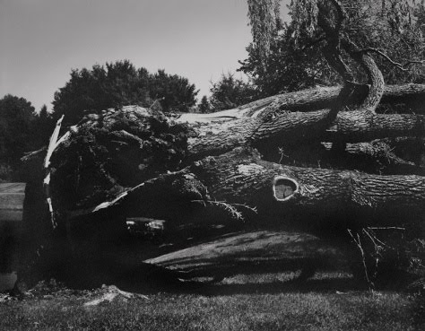 [thumbnail.php.png.jpeg]