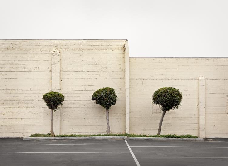 [bradmoore0144.jpeg]