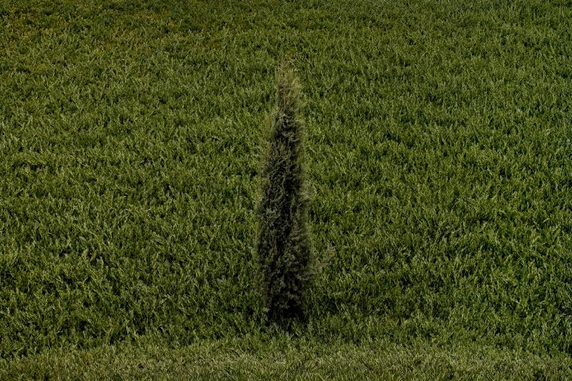 [bradmoore5574.jpeg]