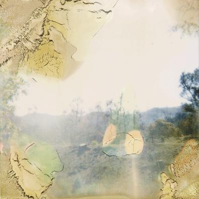 [ODER_bleed3.gif.jpg]