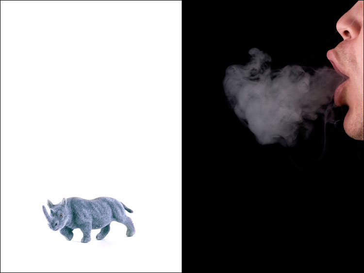 [05_Rhino_Smoke.jpg]
